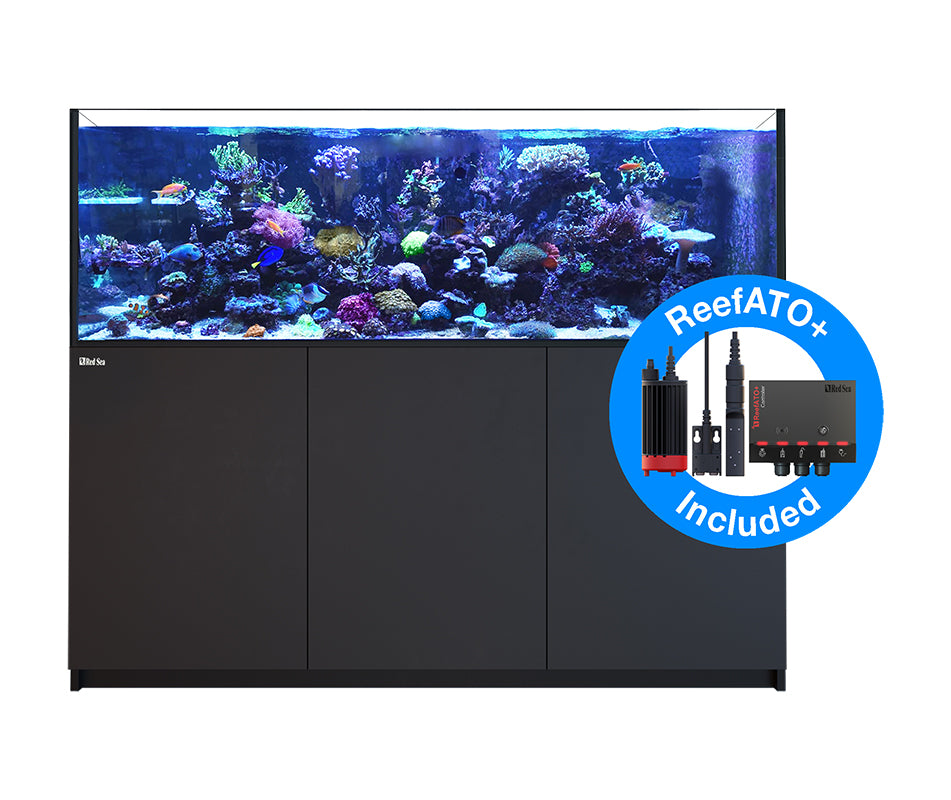 Red Sea Reefer G2+ XXL 750 - Black