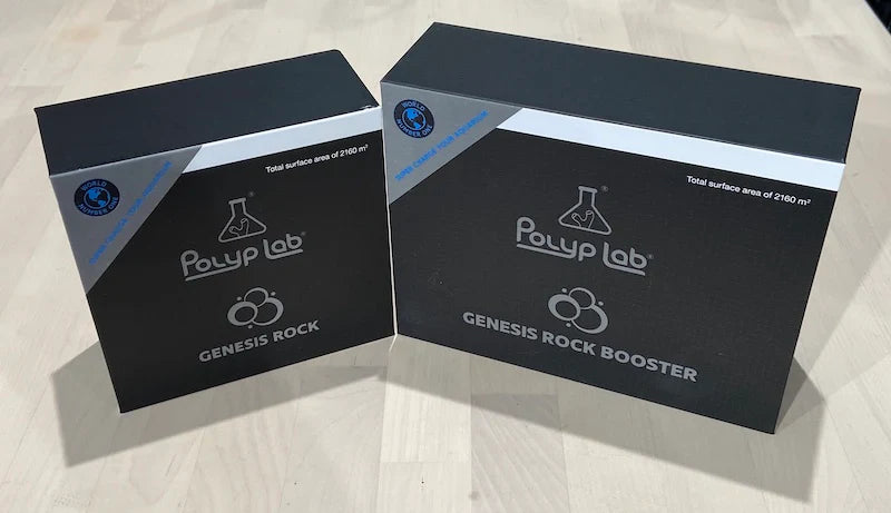 Polyp Lab Genesis Rock