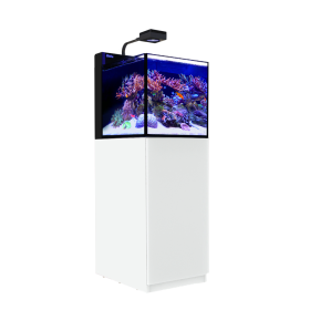 Red Sea Max Nano Peninsula G2 - White