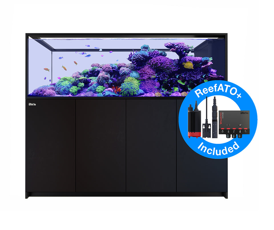 Red Sea Reefer Peninsula G2+ S-950 - Black