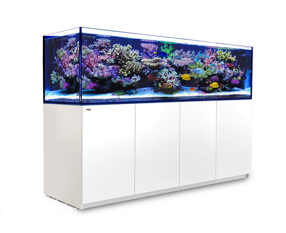 Red Sea Reefer 3XL 900 G2 - White