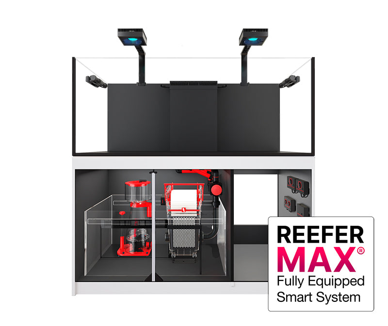 Red Sea Reefer MAX 625 G2+ - White