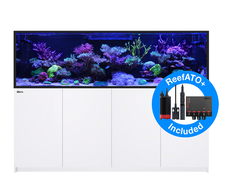 Red Sea Reefer-S 1000 G2+ - White