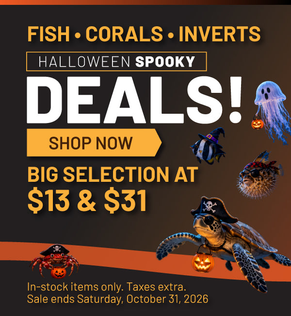 Halloween Spooky Deals