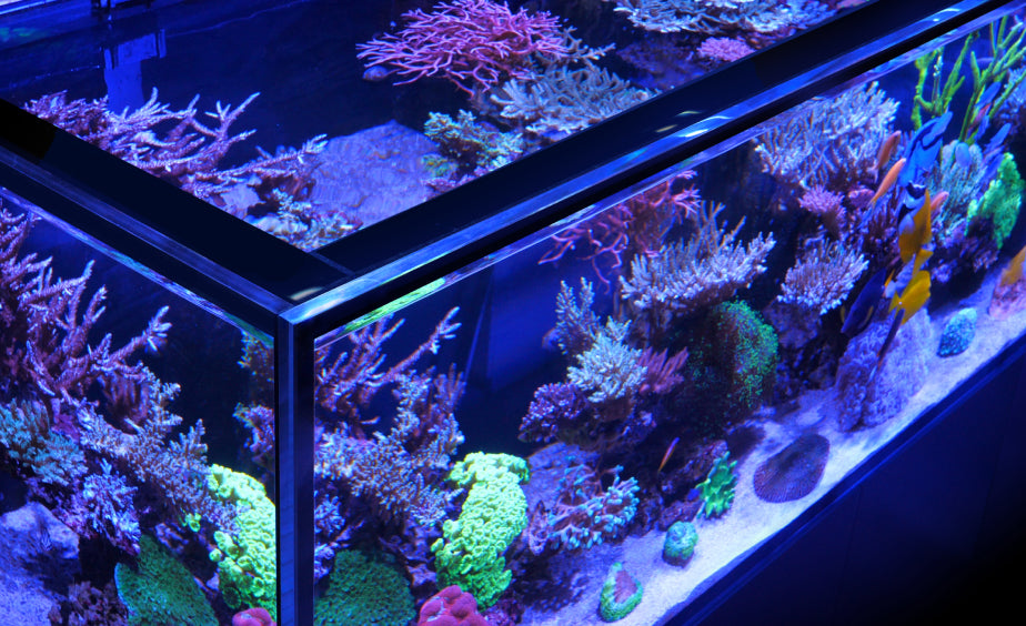 Red Sea Reefer-S 850 G2+ - Black