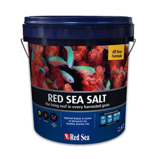 Seau de 175 gallons de sel de la mer rouge