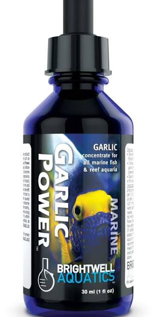 Garlic Power Brightwell***