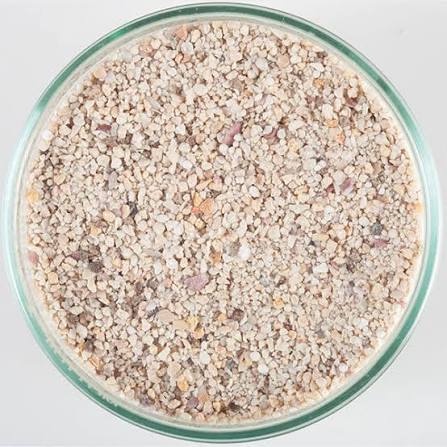 Live Sand 20lbs